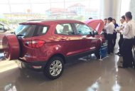 Ford EcoSport   2016 - Bán Ford EcoSport sản xuất 2016, màu đỏ giá cạnh tranh giá 610 triệu tại Kiên Giang