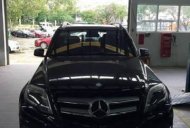 Mercedes-Benz GLK Class  300  2012 - Cần bán xe Mercedes GLK 300 đời 2012, màu đen, xe nhập còn mới giá 1 tỷ 400 tr tại Quảng Ngãi