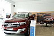 Ford Everest 2.2L 4x2 Titanium AT 2017 - Ford Everest Titanium 2.2L 4x2 nhập Thái Lan, hỗ trợ trả góp 80% lãi suất 0,6%/ tháng giá 1 tỷ 235 tr tại Hà Giang