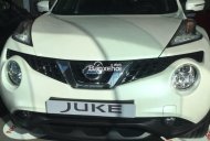 Nissan Juke 2017 - Bán Nissan Juke đời 2017, nhập khẩu giá 1 tỷ 60 tr tại Hà Nội