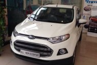 Ford EcoSport   1.5L AT  2017 - Bán xe Ford EcoSport 1.5L AT đời 2017, màu trắng giá 610 triệu tại Bình Thuận  