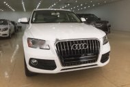 Audi Q5 2.0T 2015 - Bán ô tô Audi Q5 2.0T đời 2015, màu trắng, nhập khẩu chính hãng giá 2 tỷ 573 tr tại Hà Nội