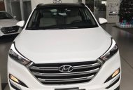 Hyundai Tucson CKD 2018 - Bán Hyundai Tucson đời 2018, màu trắng, CKD giá 760 triệu tại Gia Lai