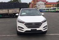 Hyundai Tucson 2017 - Cần bán xe Hyundai Tucson đời 2017, màu trắng, nhập khẩu, 960 triệu giá 960 triệu tại Bắc Giang
