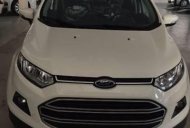 Ford EcoSport 2016 - Bán ô tô Ford EcoSport đời 2016, màu trắng, giá 615tr giá 615 triệu tại Kiên Giang