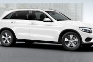 Mercedes-Benz Smart 250 2016 - Bán xe Mercedes-Benz GLC 250 sản xuất 2017 đủ màu giao xe tháng 03 giá 1 tỷ 789 tr tại Khánh Hòa