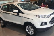 Ford EcoSport  Trend MT 2017 - Bán Ford EcoSport năm 2018, ưu đãi khủng - LH: Mrs Lam 0915445535 giá 585 triệu tại Nghệ An