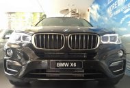 BMW X6 xDrive35i 2017 - Bán BMW X6 xDrive35i 2017, màu nâu, nhập khẩu, ưu đãi giá cực sốc giá 3 tỷ 698 tr tại Đà Nẵng