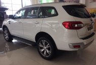 Ford Everest 2.2L 4x2 Titanium AT 2017 - Bán xe Ford Everest 2.2L 4x2 Titanium AT 2017, nhập khẩu nguyên chiếc giá 1 tỷ 245 tr tại Khánh Hòa