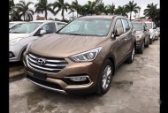 Hyundai Santa Fe   2017 - Bán xe Hyundai Santa Fe đời 2017, màu nâu giá 1 tỷ 70 tr tại Ninh Thuận
