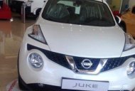 Nissan Juke   AT 2017 - Bán ô tô Nissan Juke AT đời 2017, màu trắng giá 1 tỷ 60 tr tại Tp.HCM