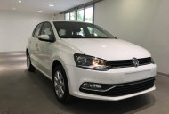 Volkswagen Polo    2016 - Polo Hatchback - nhập khẩu Châu Âu - Giao xe tận nhà - Quang Long 0933 689 294 giá 695 triệu tại Tp.HCM