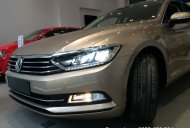 Volkswagen Passat GP 2016 - Cần bán Volkswagen Passat GP đời 2016, màu kem (be), nhập khẩu chính hãng giá 1 tỷ 450 tr tại Tp.HCM