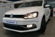 Volkswagen Polo 2016 - Cần bán Volkswagen Polo Hatchback 2016 mới 100% nhập chính hãng - đối thủ của Yaris, Focus - Quang Long 0933689294 giá 695 triệu tại Lâm Đồng