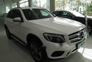 Mercedes-Benz GLC 250 2016 - Cần bán xe Mercedes 250 năm 2016, nhập khẩu chính hãng giá 1 tỷ 789 tr tại Bình Thuận  