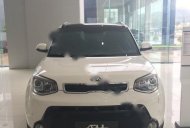 Kia Soul 2.0 2014 - Kia Bình Định bán xe Kia Soul 2.0 2014, màu trắng, nhập khẩu, giá tốt giá 750 triệu tại Bình Định