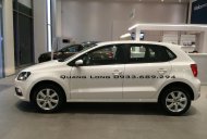 Volkswagen Polo 2016 - Cần bán xe Volkswagen Polo đời 2016, nhập khẩu chính hãng giá 695 triệu tại Tp.HCM