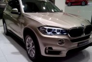 BMW X5 30i 2017 - BMW X5 30i năm 2017, nhập khẩu nguyên chiếc từ Đức - Chương trình ưu đãi lớn dịp Hè giá 3 tỷ 678 tr tại Đà Nẵng