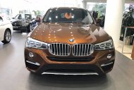 BMW X4 xDrive20i 2017 - Bán xe BMW X4 xDrive20i đời 2017, màu nâu, xe nhập, ưu đãi hấp dẫn, giao xe tại nhà giá 2 tỷ 808 tr tại Đà Nẵng