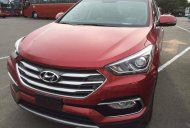 Hyundai Santa Fe 2017 - Bán Hyundai Santa Fe đời 2017, nhập khẩu chính hãng giá 1 tỷ 50 tr tại Bình Định