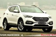 Hyundai Santa Fe 2017 - Bán Hyundai Santa Fe 2017, nhập khẩu nguyên chiếc giá 1 tỷ 50 tr tại Bình Định