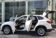 BMW X1 sDrive18i 2017 - Bán xe BMW X1 sDrive18i năm 2017 phiên bản mới, màu trắng, nhập khẩu chính hãng giá 1 tỷ 735 tr tại Bình Định
