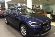 BMW X1 sDrive18i 2017 - Bán ô tô BMW X1 sDrive18i đời 2017, màu xanh lam, xe nhập. Có xe giao ngay, giá rẻ nhất tại Nghệ An giá 1 tỷ 735 tr tại Nghệ An