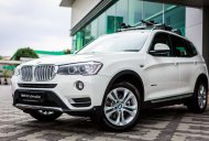 BMW X3 xDrive20i 2017 - Cần bán BMW X3 xDrive20i đời 2017, màu trắng, nhập khẩu chính hãng giá 2 tỷ 199 tr tại TT - Huế