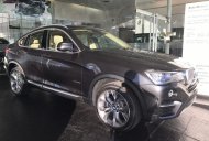 BMW X4 xDrive20i 2017 - Bán xe BMW X4 xDrive20i đời 2017, màu xám, nhập khẩu chính hãng giá 2 tỷ 808 tr tại TT - Huế