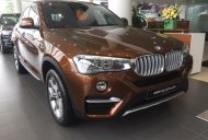 BMW X4 xDrive20i 2017 - Cần bán xe BMW X4 xDrive20i đời 2017, màu nâu, xe nhập giá 2 tỷ 808 tr tại TT - Huế