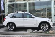 BMW X5 xDrive35i 2017 - Bán xe BMW X5 xDrive35i đời 2017, màu trắng, nhập khẩu nguyên chiếc giá 3 tỷ 788 tr tại TT - Huế