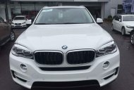 BMW X5 xDrive35i 2017 - Cần bán BMW X5 xDrive35i đời 2017, màu trắng, nhập khẩu chính hãng giá 3 tỷ 788 tr tại Nghệ An