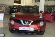 Nissan Juke 2016 - Bán Nissan Juke đời 2016, màu đỏ, nhập khẩu nguyên chiếc giá 1 tỷ 30 tr tại Tp.HCM