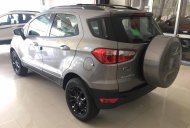 Ford EcoSport Titanium 1.5P AT 2017 - Bán Ford EcoSport Titanium 1.5P AT đời 2017, màu bạc - giá tốt nhất - giao xe tận nhà - hỗ trợ vay 75% giá trị xe giá 658 triệu tại Quảng Trị