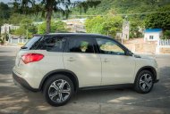Suzuki Vitara 2017 - Bán Suzuki Vitara đời 2017, màu xám đen, nhập khẩu nguyên chiếc Châu Âu, 779 triệu giá 779 triệu tại An Giang