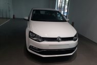 Volkswagen Polo   2017 - Bán xe Volkswagen Polo đời 2017, nhập khẩu, 695 triệu giá 695 triệu tại Tp.HCM