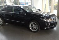 Volkswagen Passat CC 2013 - Volkswagen Passat CC - Sedan nhập khẩu chính hãng - Mua xe vui lòng liên hệ Quang Long 0933689294 giá 1 tỷ 100 tr tại Tp.HCM