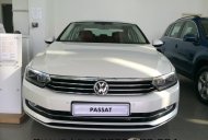 Volkswagen Passat 2015 - Chỉ với 265 triệu trả trước có ngay Volkswagen Passat màu trắng ngọc trai đặc biệt - Nhập khẩu chính hãng giá 1 tỷ 318 tr tại Tp.HCM