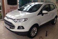 Ford EcoSport Titanium 1.5P AT 2017 - Ford thủ Đô bán xe Ford EcoSport Titanium 1.5P AT sản xuất 2017, nhiều màu, giá tốt nhất tại Thái Nguyên giá 585 triệu tại Thái Nguyên