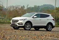 Hyundai Santa Fe 2017 - Bán xe Hyundai Santa Fe đời 2017, màu trắng giá 1 tỷ 265 tr tại Gia Lai