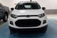 Ford EcoSport   2017 - Bán xe Ford EcoSport đời 2017, màu trắng giá 599 triệu tại Gia Lai