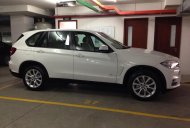 BMW X5 xDrive35i 2017 - Bán xe BMW X5 xDrive35i đời 2017, màu trắng, nhập khẩu. Cam kết giá tốt nhất, giao xe sớm nhất, đủ màu giá 3 tỷ 788 tr tại Đà Nẵng