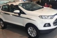 Ford EcoSport   2017 - Bán ô tô Ford EcoSport đời 2017, màu trắng giá 585 triệu tại Nghệ An