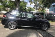 BMW X1 2012 - Bán xe BMW X1, màu đen, đăng ký 2012, full option, 830tr giá 830 triệu tại Tp.HCM