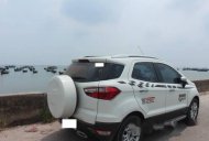 Ford EcoSport 2016 - Bán xe Ford EcoSport đời 2016, màu trắng  giá 590 triệu tại Nam Định