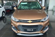 Chevrolet Trax 2017 - Hỗ trợ ngân hàng 90-100%, hồ sơ đơn giản nhận xe ngay. LH: 0944 161 032 -Ngọc Hân để được tư vấn nhé giá 769 triệu tại Cần Thơ