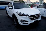 Hyundai Tucson SUV 2017 - Cần bán xe Hyundai Tucson SUV đời 2017, màu trắng giá 1 tỷ 10 tr tại Thái Bình