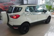 Ford EcoSport   2017 - Bán Ford EcoSport đời 2017, màu trắng giá 590 triệu tại Tiền Giang