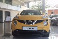 Nissan Juke AT 2015 - Bán Nissan Juke AT đời 2015, màu vàng, nhập khẩu giá 1 tỷ 60 tr tại Quảng Trị