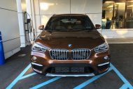 BMW X1 sDrive18i 2017 - Bán xe BMW X1 sDrive18i đời 2017, màu nâu, xe nhập. Bán xe BMW chính hãng tại Quảng Trị giá 1 tỷ 735 tr tại Đà Nẵng